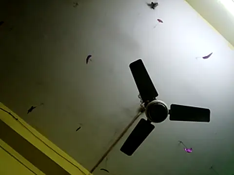 Snapshot of Sexyranibhabhi chatting on 12-14-25, 02:17 Sexyranibhabhi online show from 12-14-25, 02:17