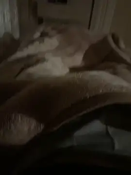 Snapshot of 34mert343431 chatting on 02-05-25, 03:45 34mert343431 online show from 02-05-25, 03:45