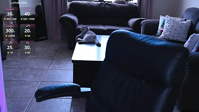 Naughty-Kitty1 online show from 07-07-26, 06:23
