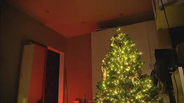 Arianna Richi online show from 12-30-24, 08:54