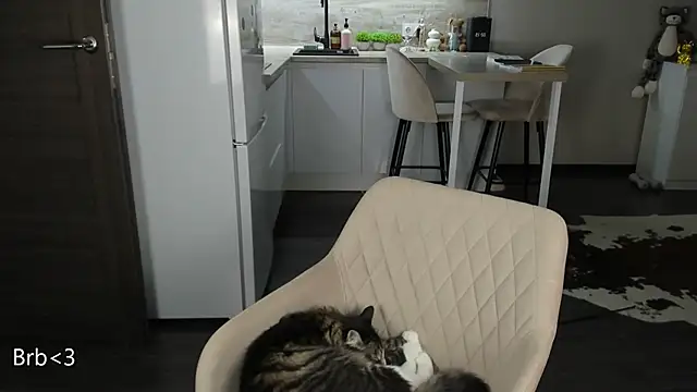 nilliluv online show from 03-19-26, 11:20