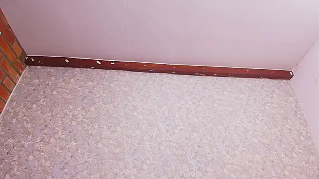 nicol f online show from 12-28-24, 07:33