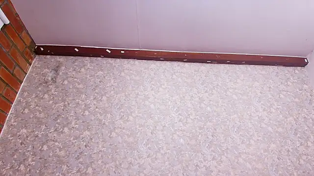 nicol f online show from 02-05-25, 01:26