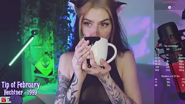 Snapshot of Virtual_Wafu chatting on 02-02-25, 04:43 Virtual Wafu online show from 02-02-25, 04:43