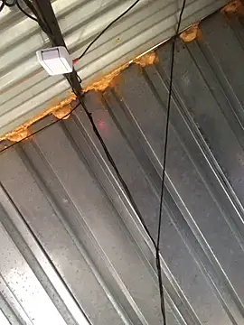 Snapshot of realGsign chatting on 02-09-25, 03:12 realGsign online show from 02-09-25, 03:12