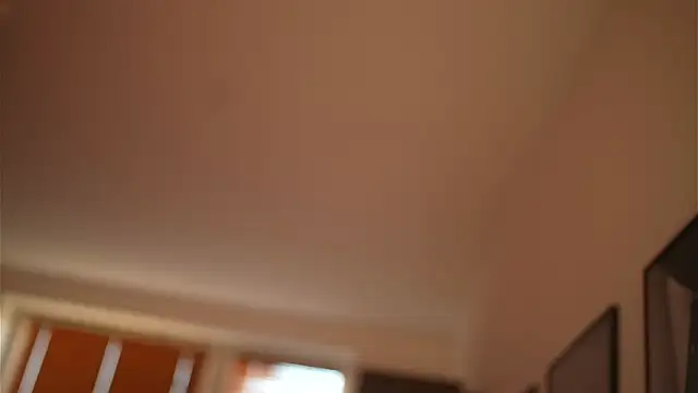 Bellis Perenis online show from 12-28-24, 08:37