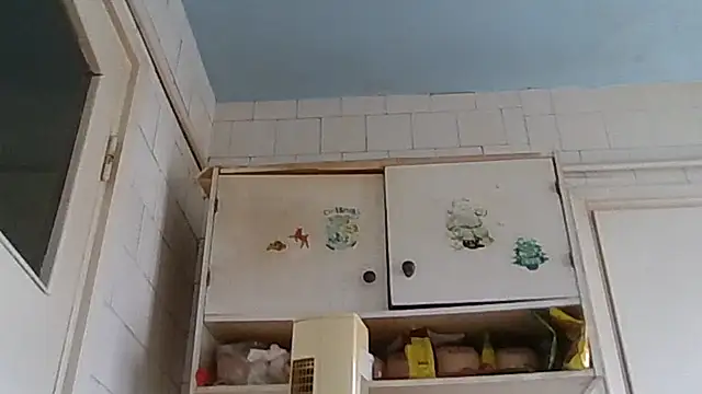 mariusica1xh online show from 02-19-26, 01:51