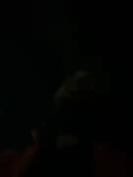 Rastamanzigy22 online show from 02-12-26, 02:06