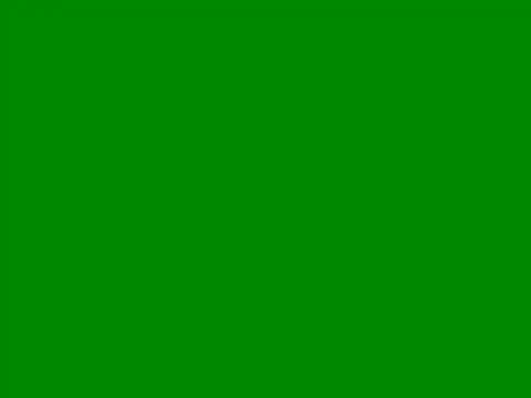 WH778899 online show from 05-16-26, 09:39
