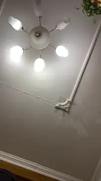 Snapshot of shuai321 chatting on 12-15-24, 01:43 shuai321 online show from 12-15-24, 01:43