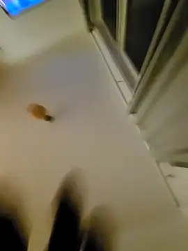 eric69 69 online show from 11-07-25, 12:32