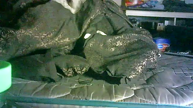 DI4MOND FIR3 online show from 06-11-26, 02:53
