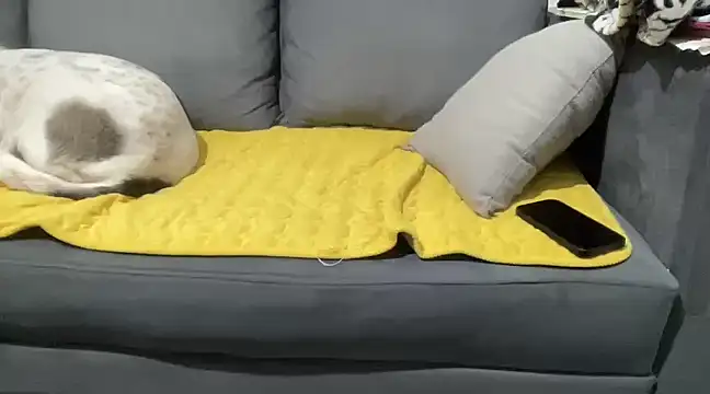 Snapshot of 4small4inchlol chatting on 01-28-25, 10:12 4small4inchlol online show from 01-28-25, 10:12