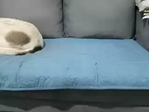 Snapshot of 4small4inchlol chatting on 02-20-25, 12:15 4small4inchlol online show from 02-20-25, 12:15