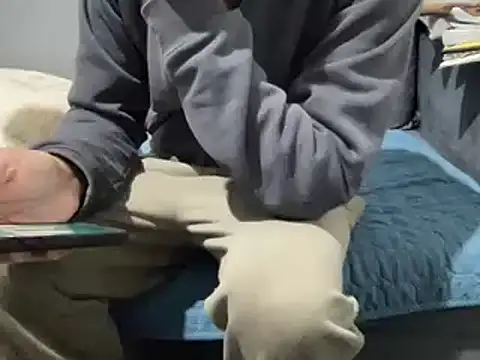 Snapshot of 4small4inchlol chatting on 02-21-25, 10:28 4small4inchlol online show from 02-21-25, 10:28