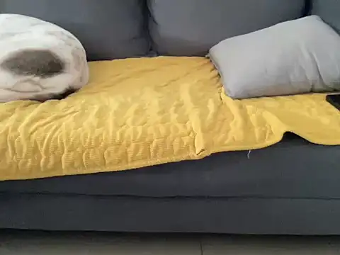 Snapshot of 4small4inchlol chatting on 10-13-25, 10:48 4small4inchlol online show from 10-13-25, 10:48