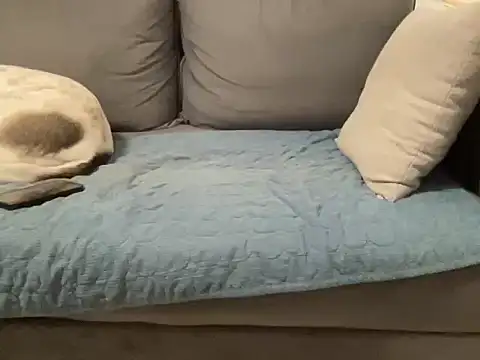 Snapshot of 4small4inchlol chatting on 02-20-26, 11:49 4small4inchlol online show from 02-20-26, 11:49