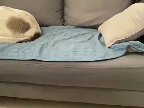 4small4inchlol online show from 04-27-26, 09:51