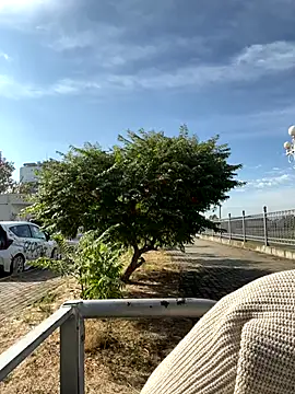 SandraCarter online show from 09-18-25, 06:04