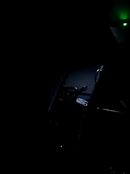 Snapshot of Bullgardenrnc123 chatting on 10-14-25, 07:03 Bullgardenrnc123 online show from 10-14-25, 07:03