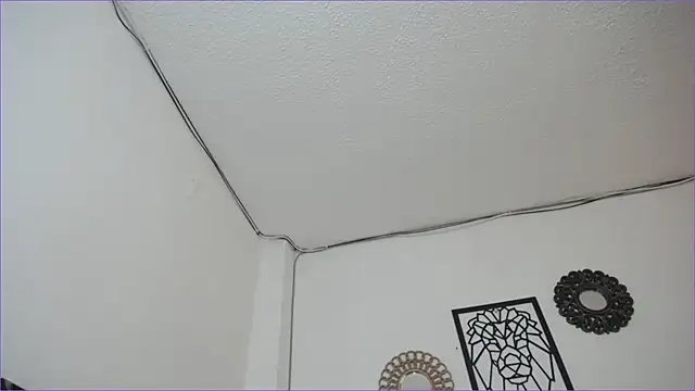 Snapshot of paytonbailey chatting on 03-04-25, 05:03 paytonbailey online show from 03-04-25, 05:03