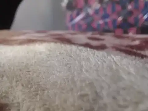 Snapshot of hoittytoittyxx chatting on 03-03-25, 03:20 hoittytoittyxx online show from 03-03-25, 03:20