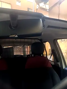 Snapshot of Porco81cazzo chatting on 11-29-25, 08:50 Porco81cazzo online show from 11-29-25, 08:50