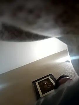 Snapshot of Porco81cazzo chatting on 01-05-26, 06:33 Porco81cazzo online show from 01-05-26, 06:33