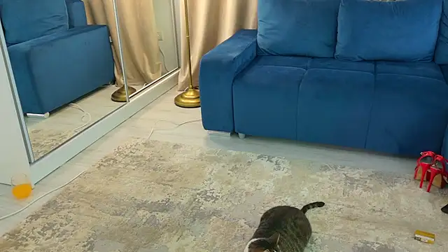 Snapshot of Addictive_T chatting on 02-12-25, 04:54 Addictive T online show from 02-12-25, 04:54