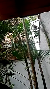 Snapshot of helen_kinett chatting on 12-27-24, 10:16 helen kinett online show from 12-27-24, 10:16