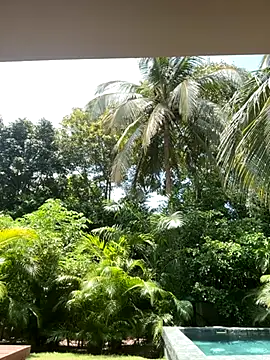 Olivia Collins1 online show from 09-16-25, 04:52