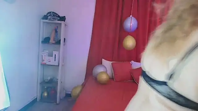 girl amada online show from 02-10-26, 08:24