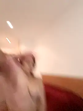 Snapshot of THIAGOEVA chatting on 12-10-24, 12:05 THIAGOEVA online show from 12-10-24, 12:05