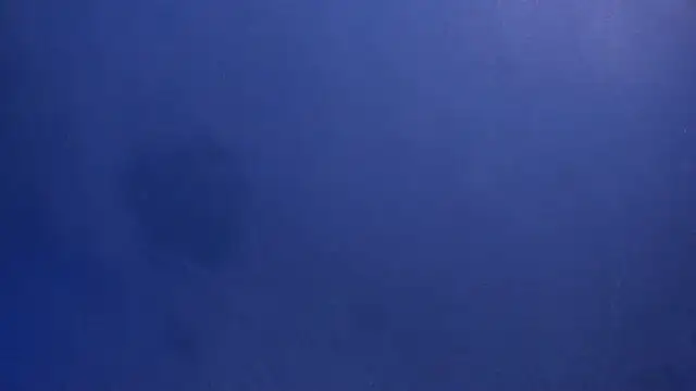 celestelewis online show from 03-19-25, 07:49