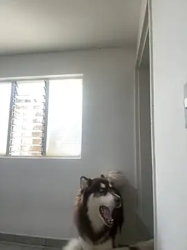 Arilw online show from 02-01-25, 02:13