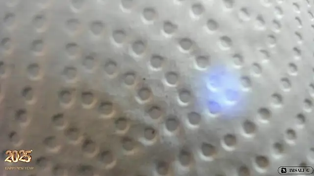 Sali g online show from 12-31-24, 01:08