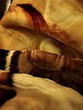 yhona darling online show from 12-16-25, 05:18