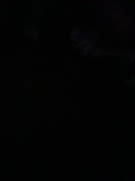 avans 15 online show from 05-14-26, 12:06