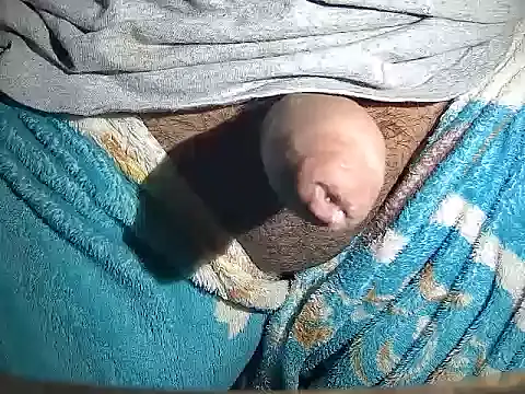 Snapshot of MyOsitobebe chatting on 02-08-26, 07:39 MyOsitobebe online show from 02-08-26, 07:39