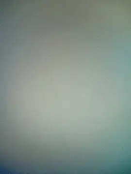 bustybillies online show from 01-17-26, 05:16