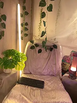 Kitty arts online show from 03-02-25, 05:36