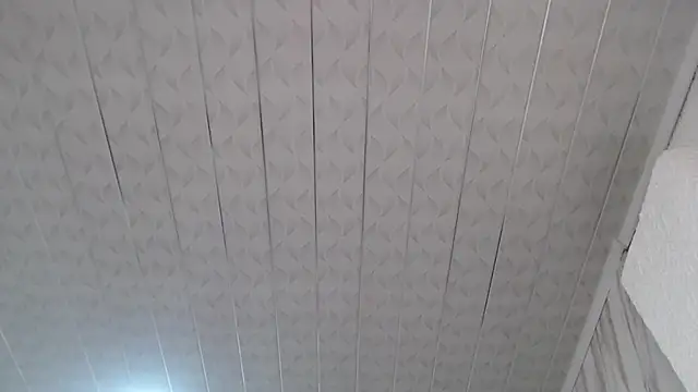 Violeth b online show from 02-14-25, 12:36