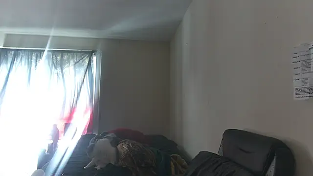 RickStone51 online show from 03-02-26, 07:21