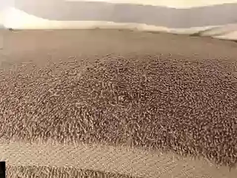 mikellwilliams10 online show from 03-11-25, 08:53