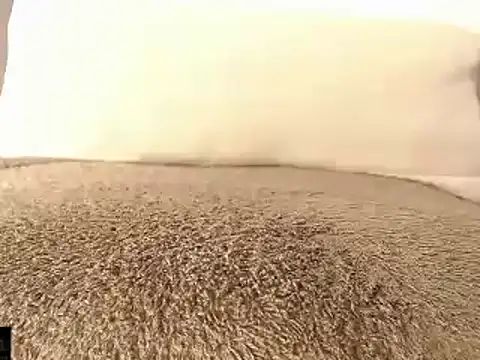 mikellwilliams10 online show from 03-15-25, 01:29