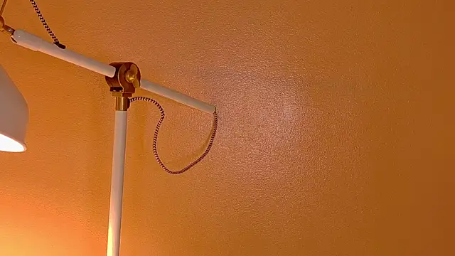 Snapshot of ParisFox_ chatting on 12-20-25, 01:12 ParisFox online show from 12-20-25, 01:12