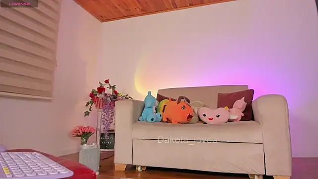 DAKOTA LOVEE online show from 09-13-25, 05:40