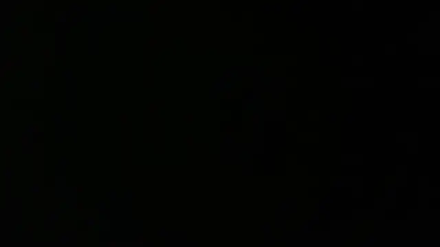 nethmisanjanaa online show from 09-24-25, 04:21