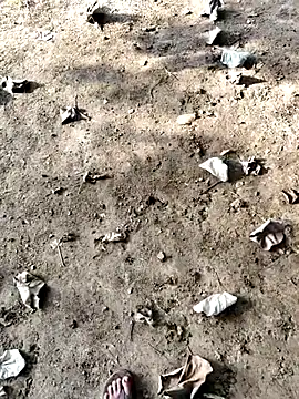 Ishan003 online show from 09-12-25, 01:38