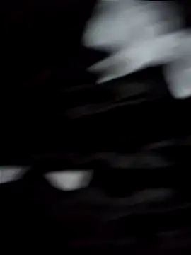 jhulyyy online show from 03-22-25, 08:59